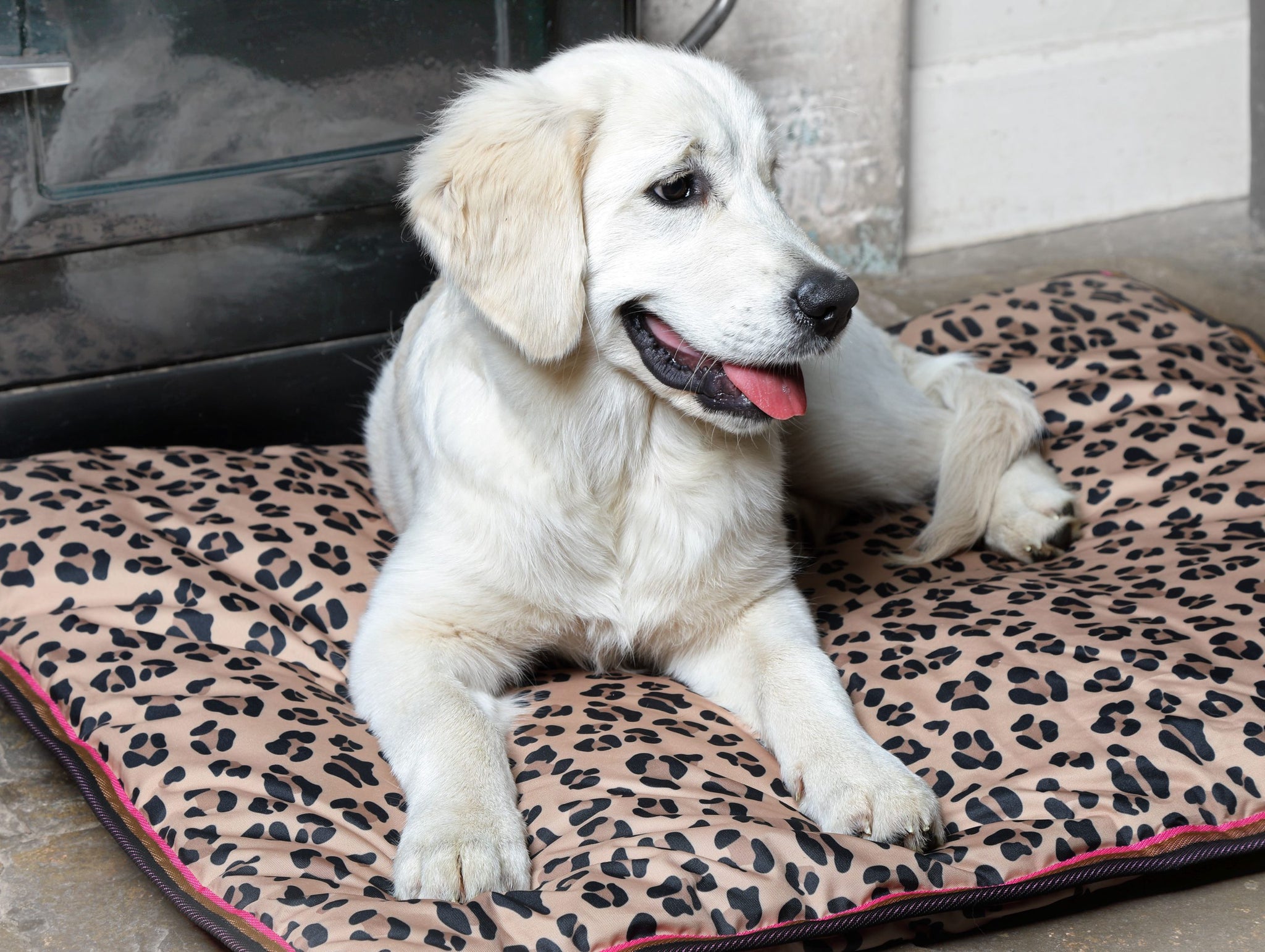 Digby & Fox Vattentät Hundbädd