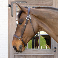 Dyon WO Grooming grimma