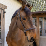 Dyon WO Grooming grimma
