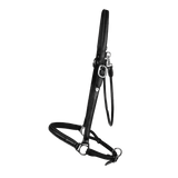 Dyon WO Grooming grimma