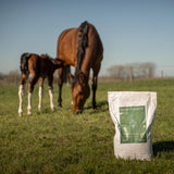 Grooming Deluxe Fodertillskott Mare Fertility Plus