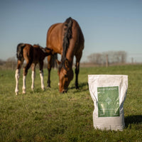 Grooming Deluxe Fodertillskott Mare Fertility Plus