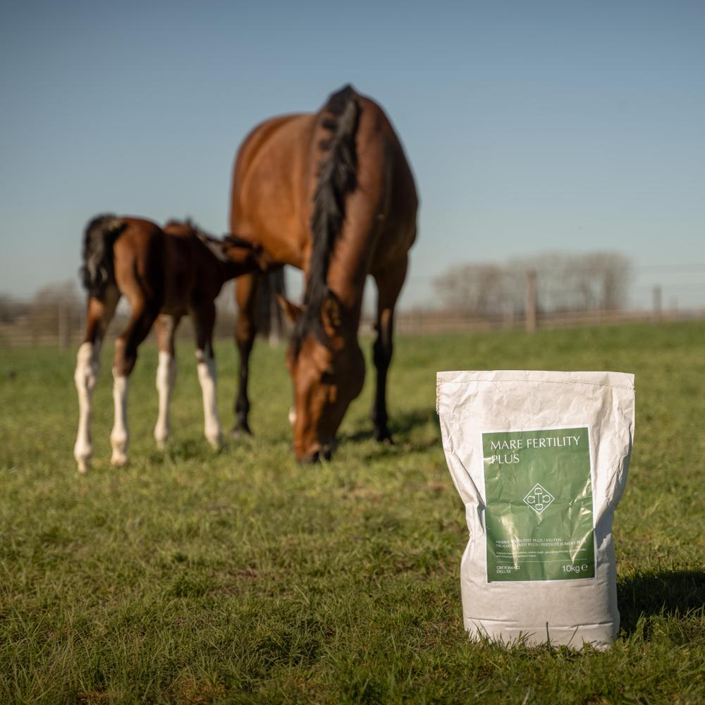 Grooming Deluxe Fodertillskott Mare Fertility Plus