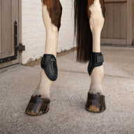 Kentucky Karledsskydd Young Horse Pro