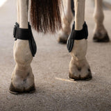 Kentucky Karledsskydd Young Horse Pro