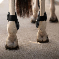 Kentucky Karledsskydd Young Horse Pro
