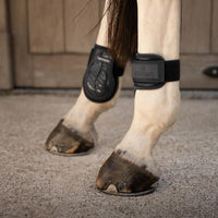 Kentucky Karledsskydd Young Horse Pro