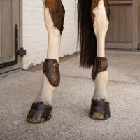 Kentucky Karledsskydd Young Horse Pro