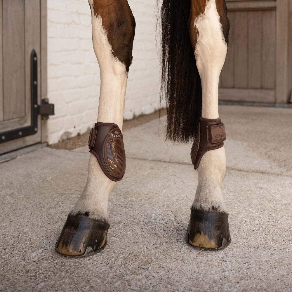 Kentucky Karledsskydd Young Horse Pro