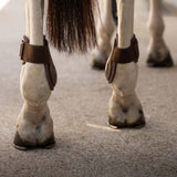 Kentucky Karledsskydd Young Horse Pro