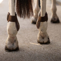 Kentucky Karledsskydd Young Horse Pro