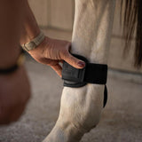 Kentucky Karledsskydd Young Horse Pro