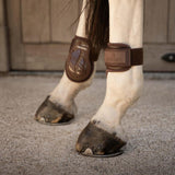 Kentucky Karledsskydd Young Horse Pro