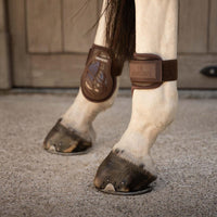 Kentucky Karledsskydd Young Horse Pro