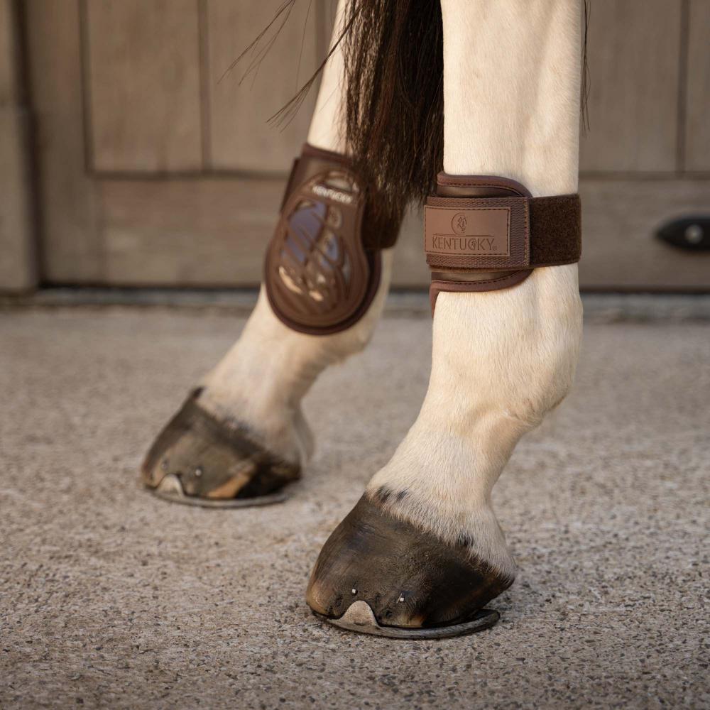 Kentucky Karledsskydd Young Horse Pro