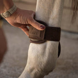 Kentucky Karledsskydd Young Horse Pro