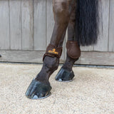 Kentucky Karledsskydd Young Horse Classic