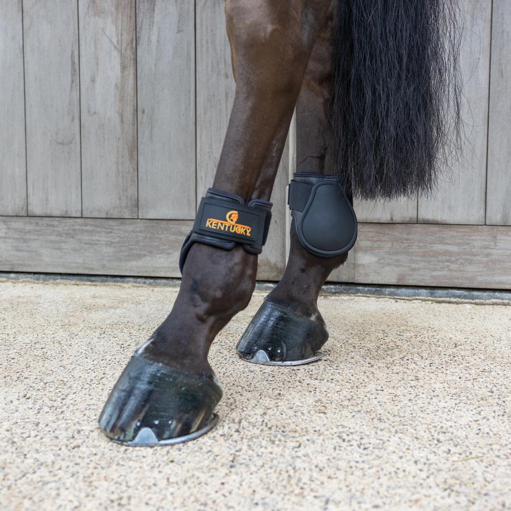 Kentucky Karledsskydd Young Horse Classic