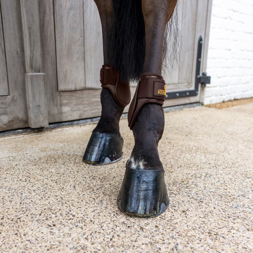 Kentucky Karledsskydd Young Horse Classic