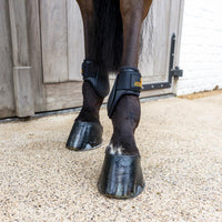 Kentucky Karledsskydd Young Horse Classic