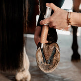 Grooming Deluxe Hovpasta Equi Hoof Zinc Paste