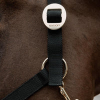Kentucky Grimma Nylon
