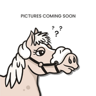 Velari Bett Leather Pessoa 2,5 Ring Single Jointed 26mm