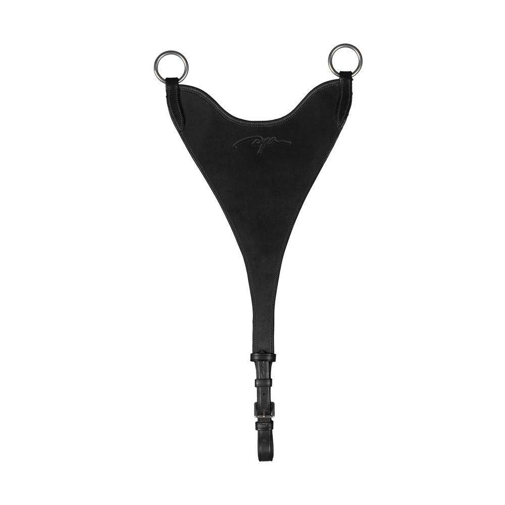 Dyon NE Hard BIB Martingale Attachment