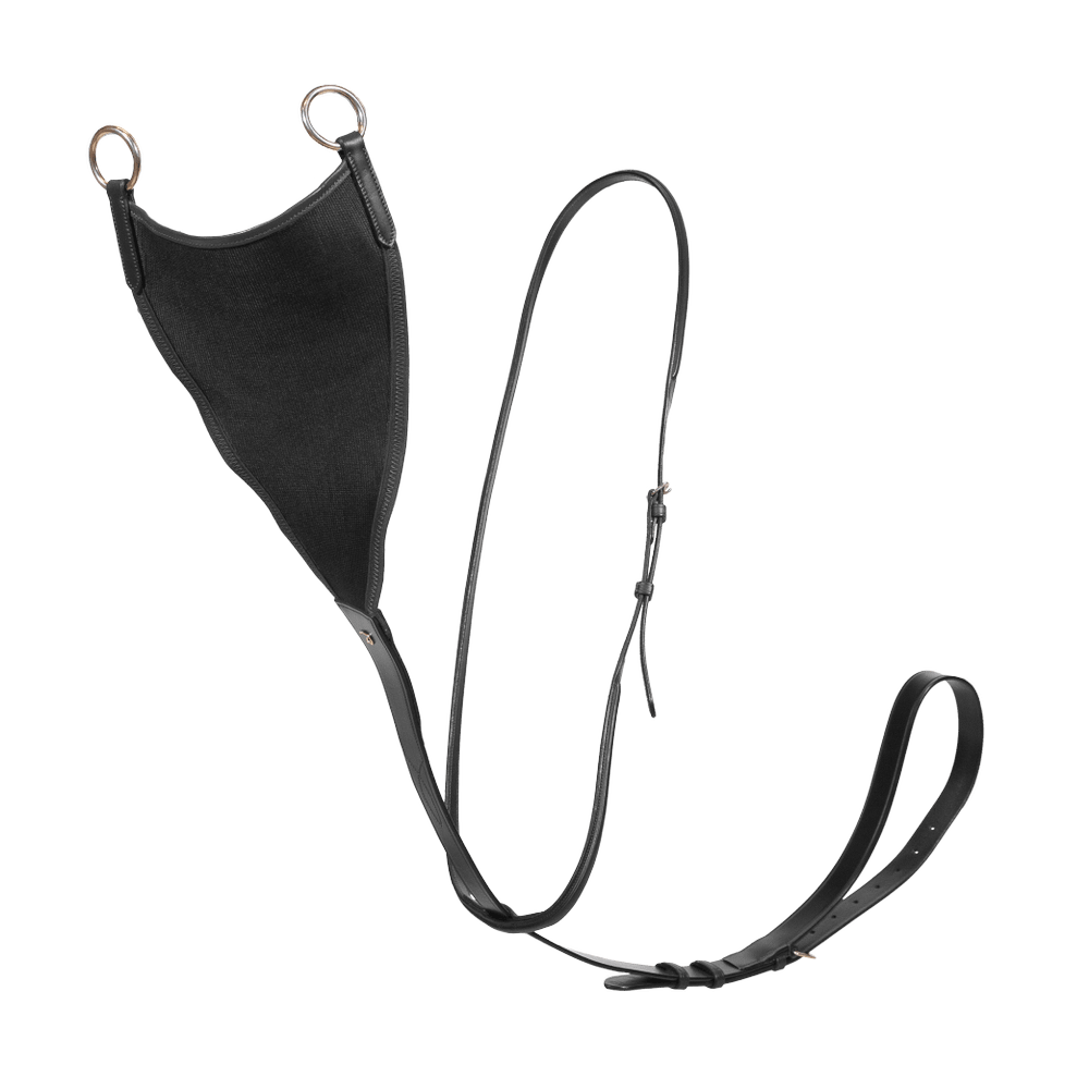 Dyon NE Elastisk bib-martingal
