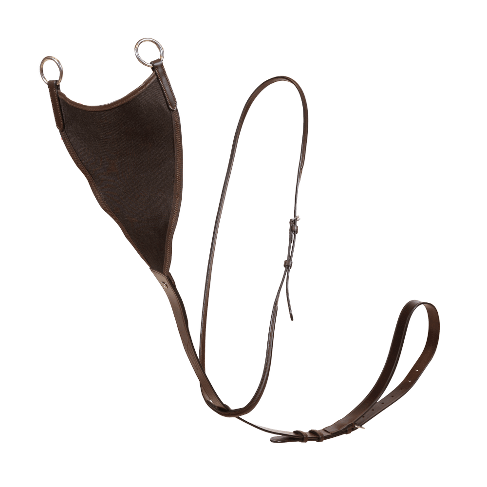 Dyon NE Elastisk bib-martingal