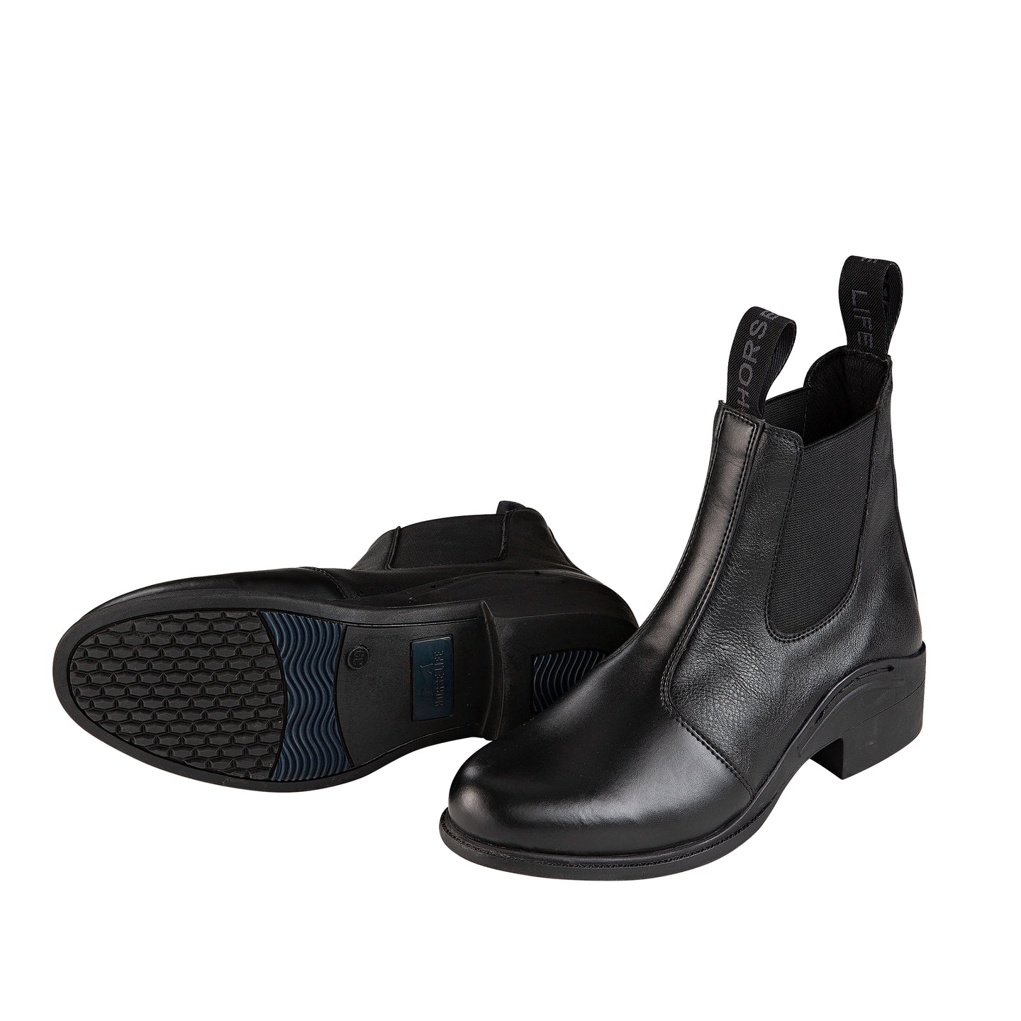 Horse Life Hazel ridsko