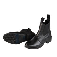 Horse Life Hazel ridsko