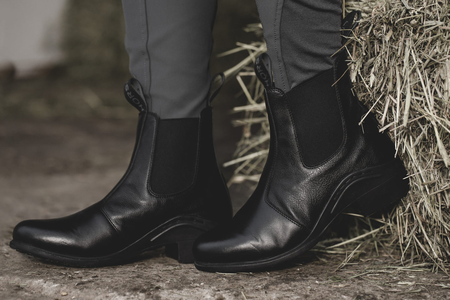 Horse Life Hazel ridsko