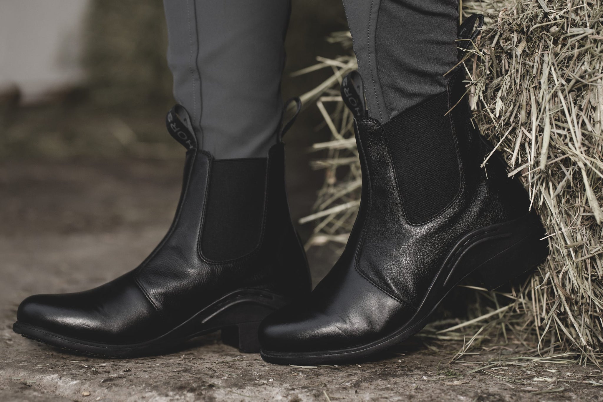 Horse Life Hazel ridsko