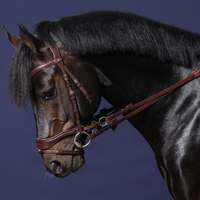 Dyon NE D-Motion träns