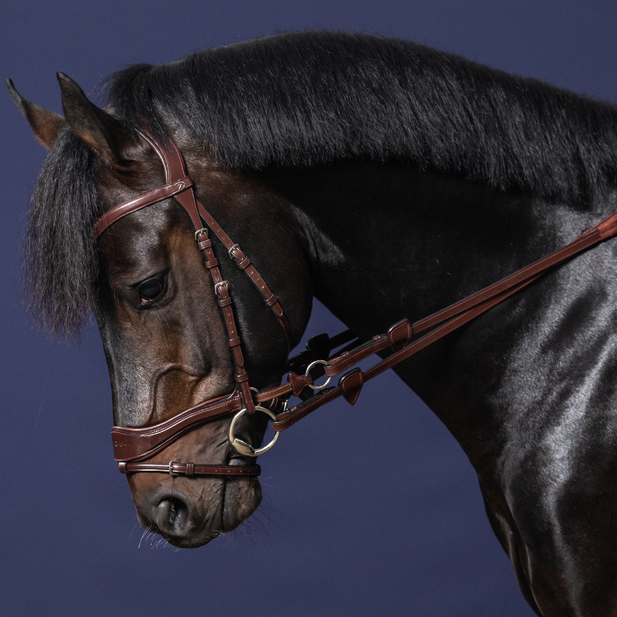 Dyon NE D-Motion träns