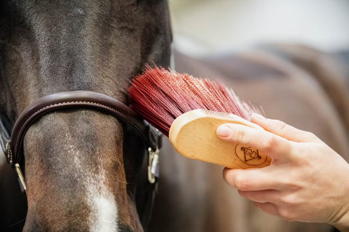 Grooming Deluxe Middle Brush Long Natural