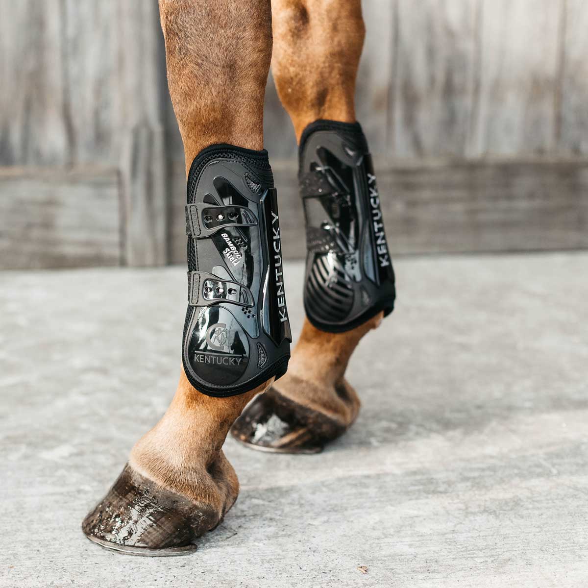 Kentucky Tendon Boots bamboo Elastic