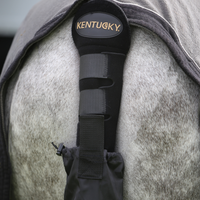 Kentucky Swan protection with bag