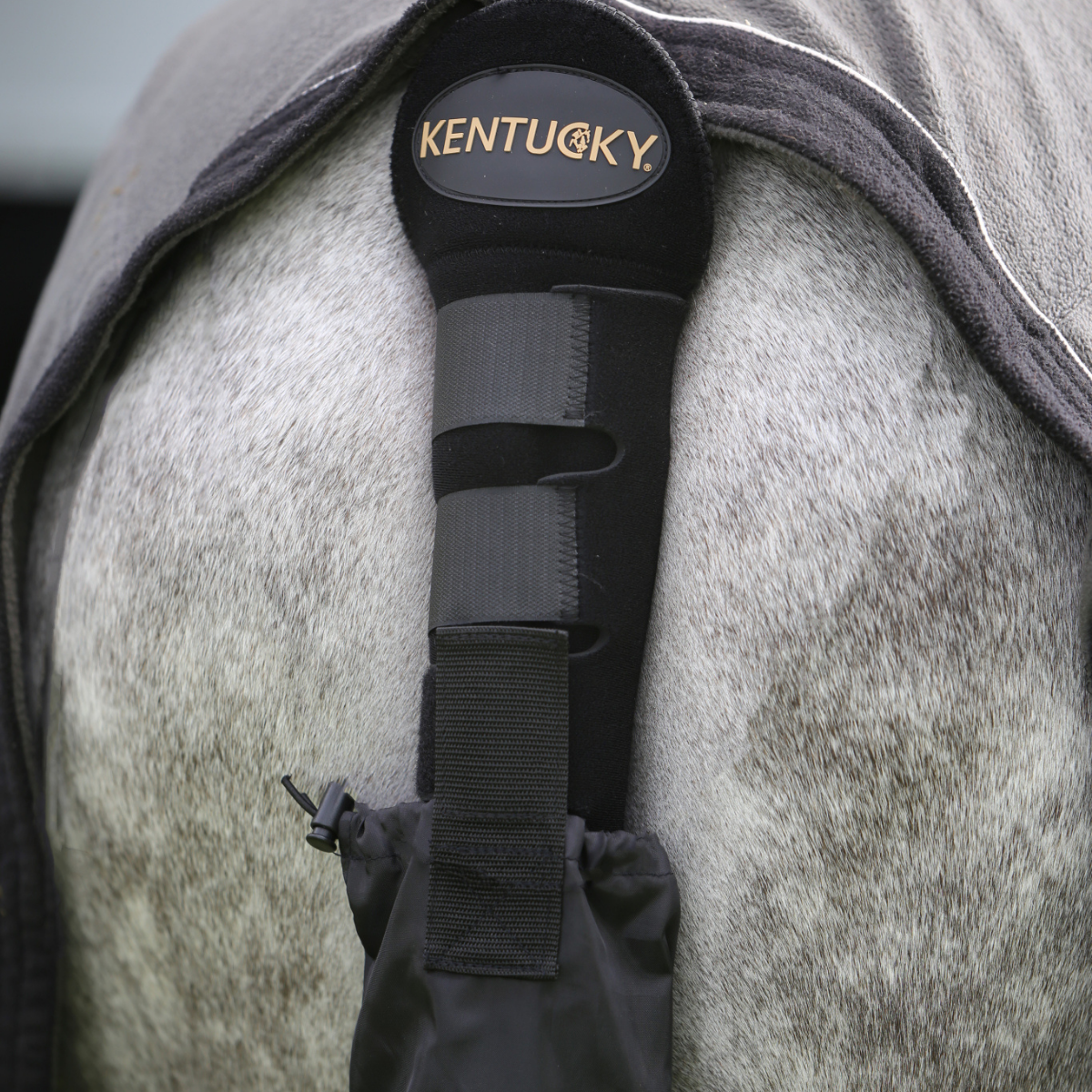 Kentucky Swan protection with bag