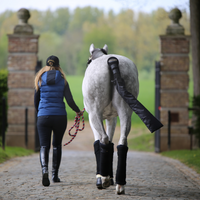 Kentucky Swan protection with bag