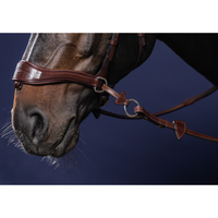 Dyon NE D-Motion träns