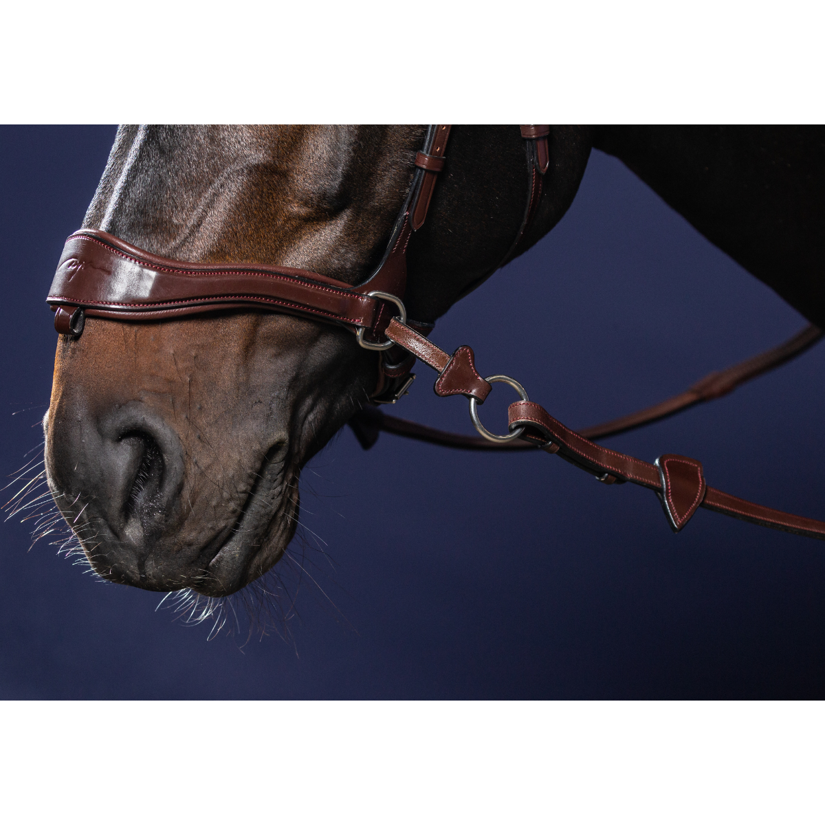 Dyon NE D-Motion träns