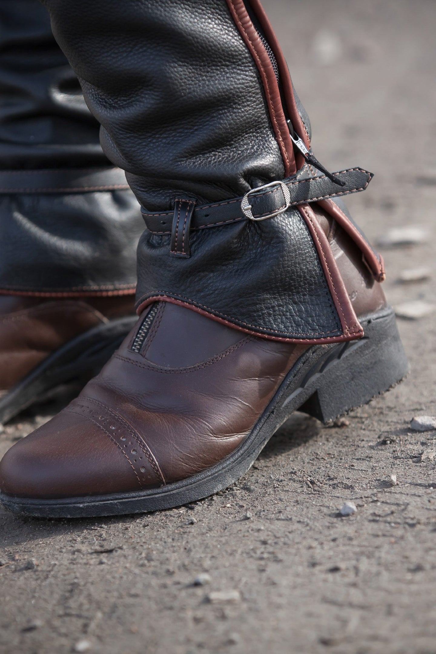 Horse Life Long chaps läder