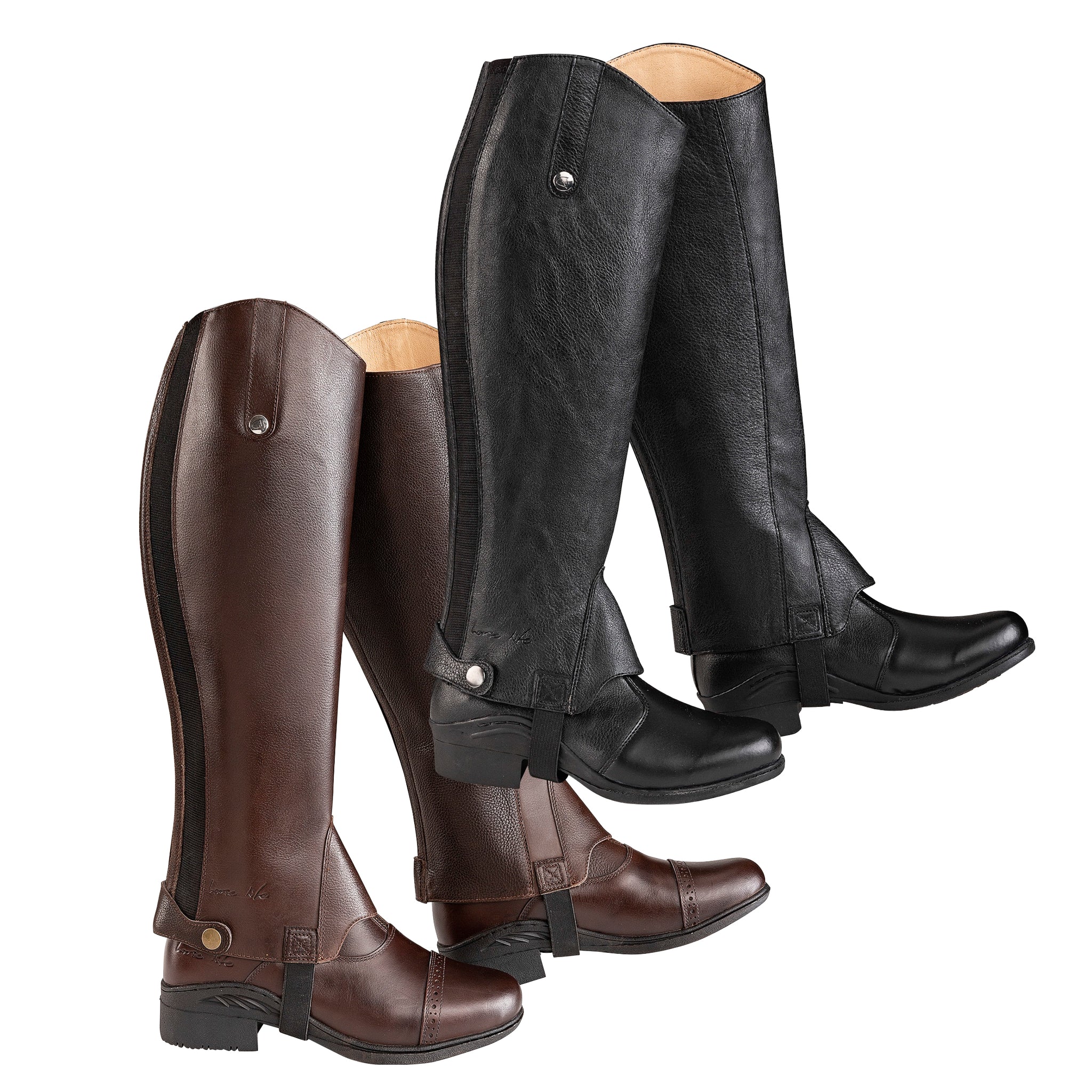 Horse Life Short chaps protec junior