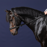 Dyon NE D-Motion träns