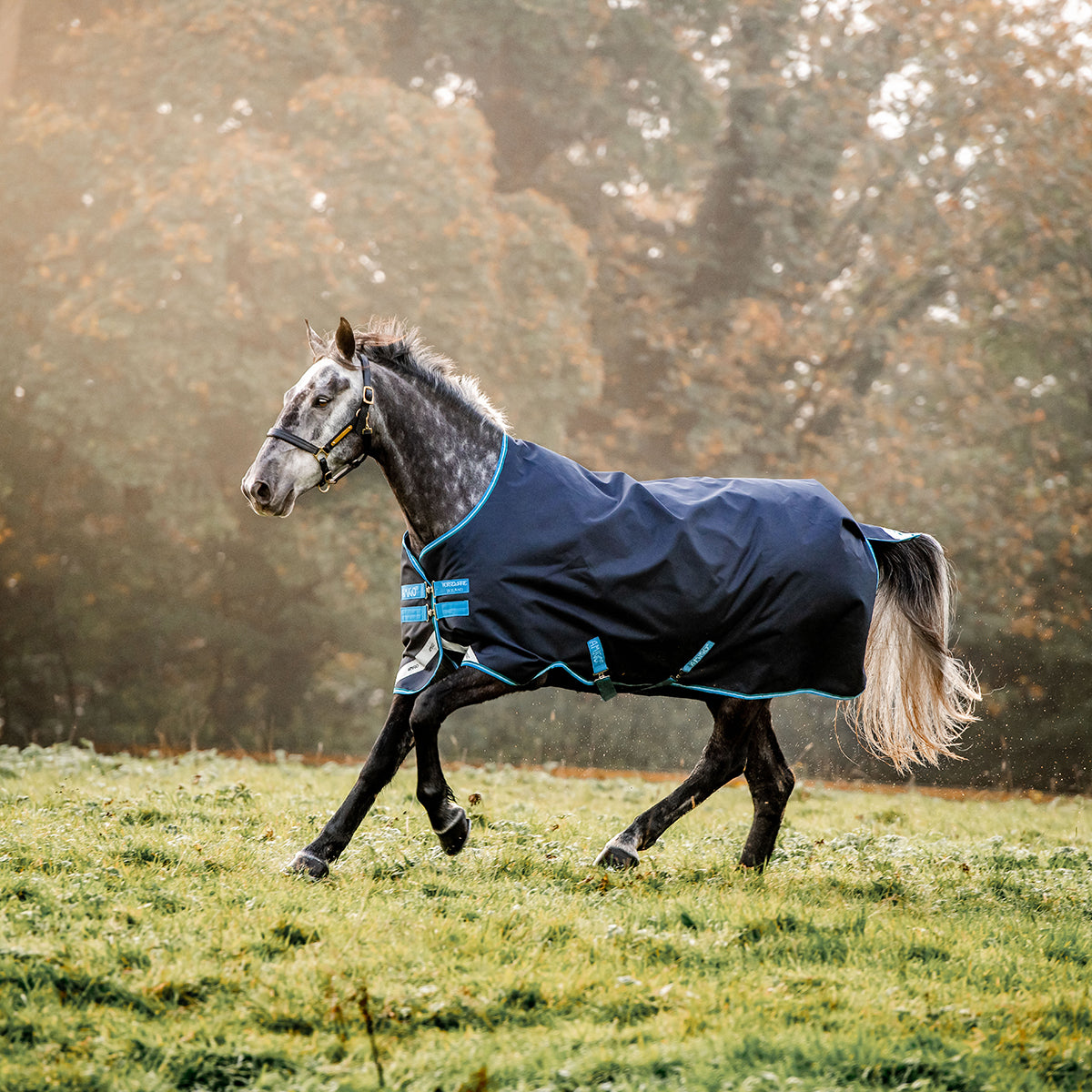 Horseware Amigo Bravo 12 50g