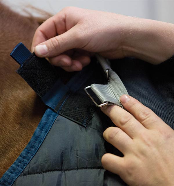 Horseware Liner 300g