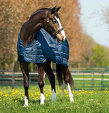 Horseware Liner 200g