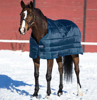 Horseware Liner 300g